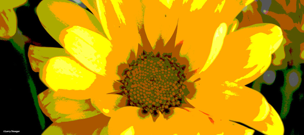 Yellow daisy art by larrysphotos