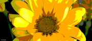 27th Mar 2022 - Yellow daisy art