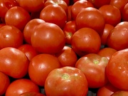 28th Mar 2022 - RED tomatoes
