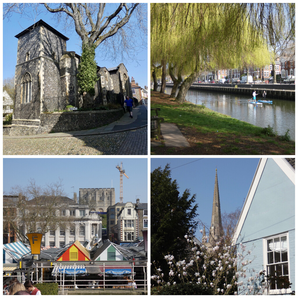 Day in Norwich  by foxes37
