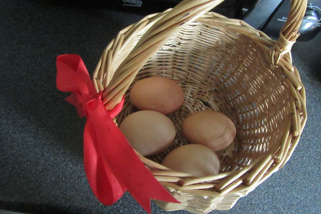 Eggs from the free rangers by lellie