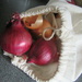 Onions by lellie