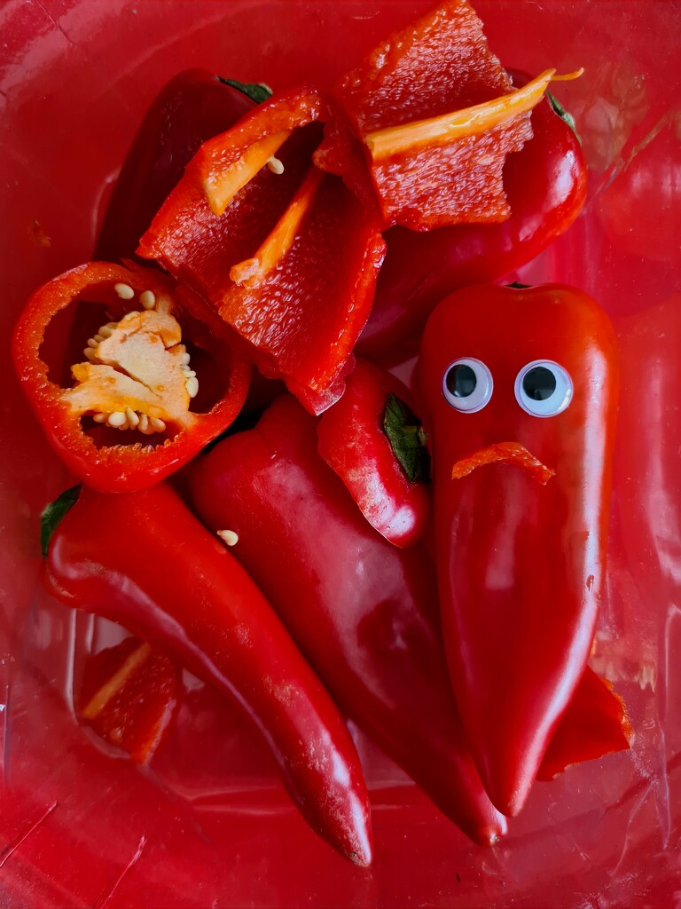 Peppers For Lunch? by serendypyty
