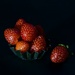 Plump, Red Strawberries DSC_9245 by merrelyn