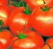28th Mar 2022 - Red Tomatoes 