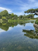 20th Mar 2022 - Mirror Lake and Bonsai Trees