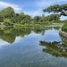 Mirror Lake and Bonsai Trees by anika93