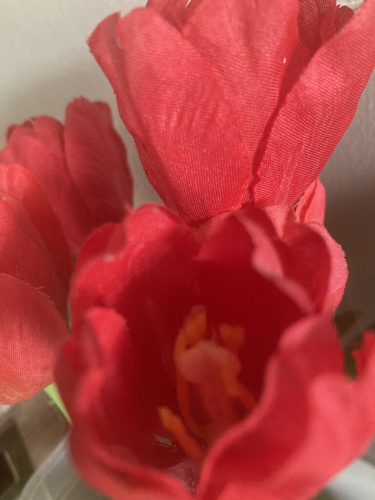Red Silk Flowers by spanishliz