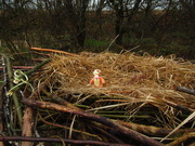 28th Mar 2022 - waiting for the ospreys