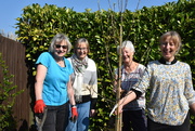 26th Mar 2022 - Planting a tree for Jubilee