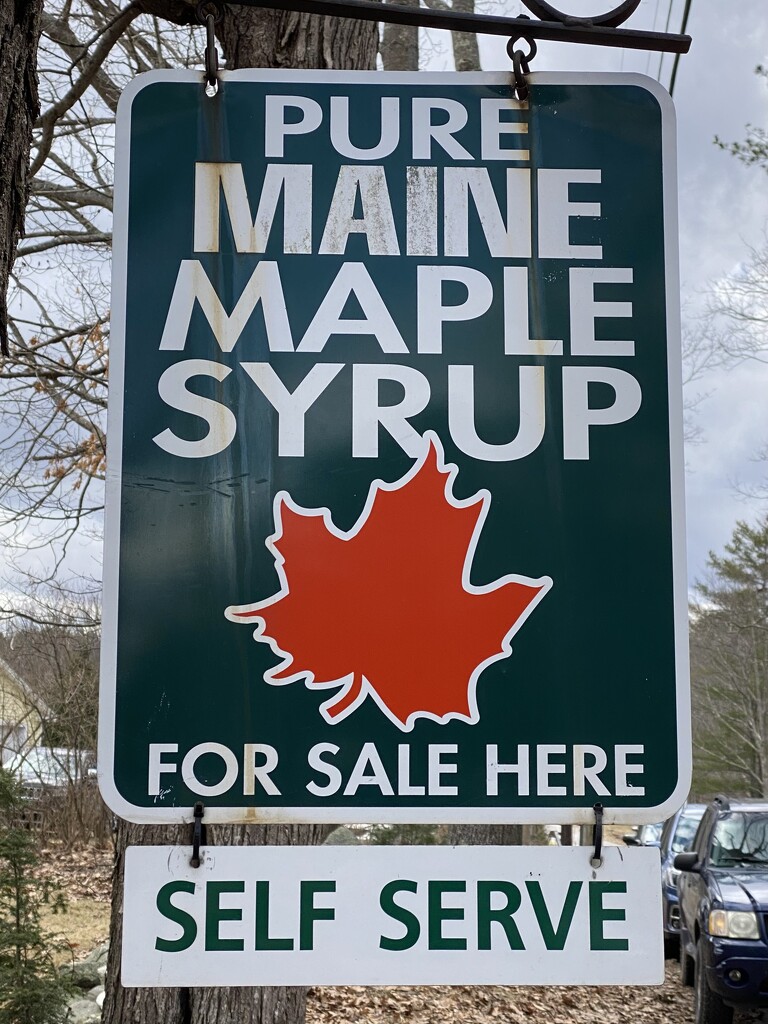 Maple Surup by clay88
