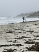 12th Mar 2022 - Maine Surfer at Higgins Beach