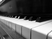 28th Mar 2022 - Piano Keys