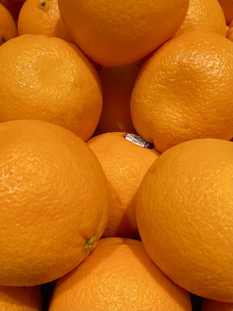 Orange by kjarn