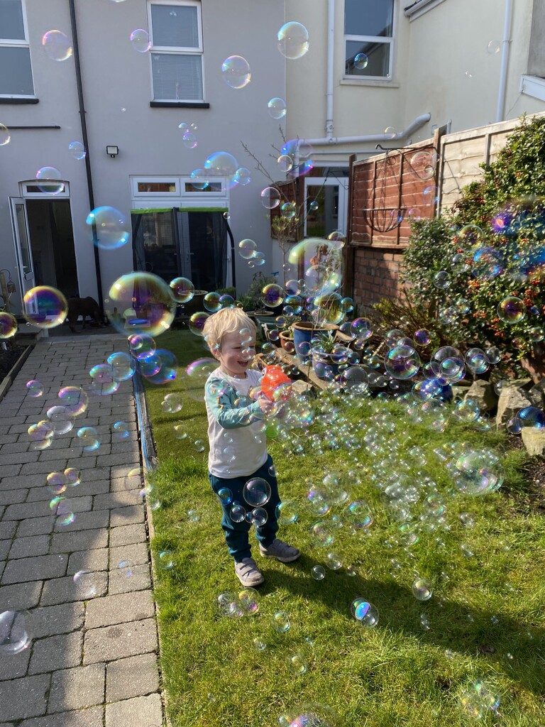 making bubbles by cam365pix