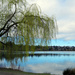 Reflections On Green Lake by seattlite