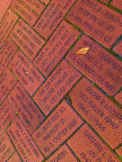 29th Mar 2022 - Freedom Pavers at the WWII Museum in New Orlesns