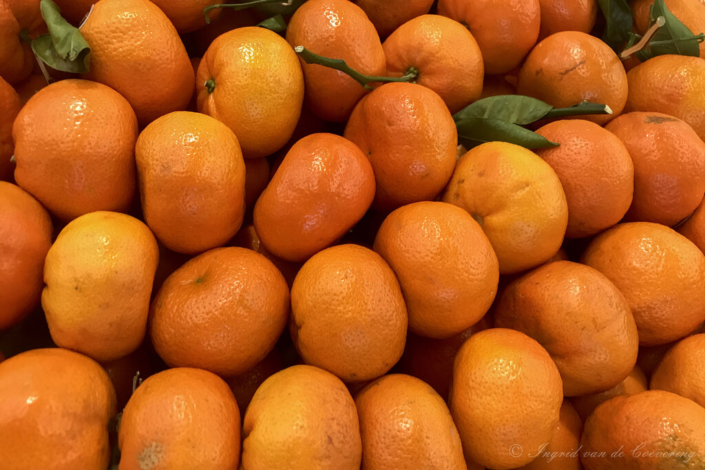 Mandarin Oranges by ingrid01