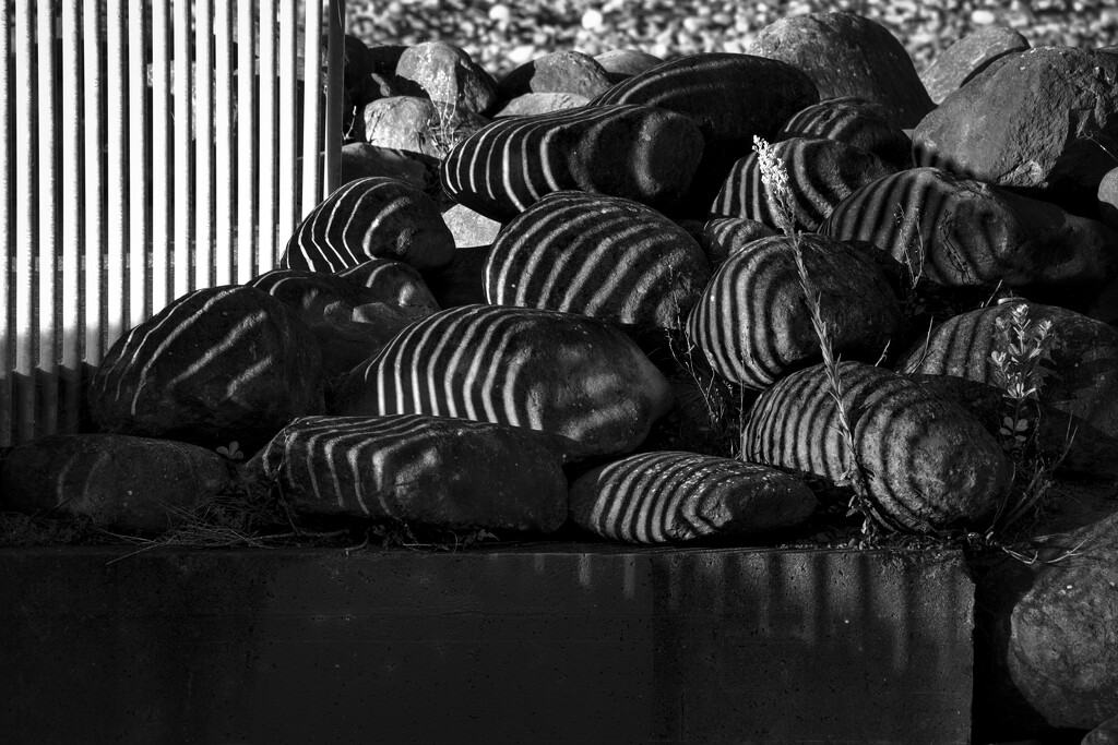 Striped rocks by dkbarnett