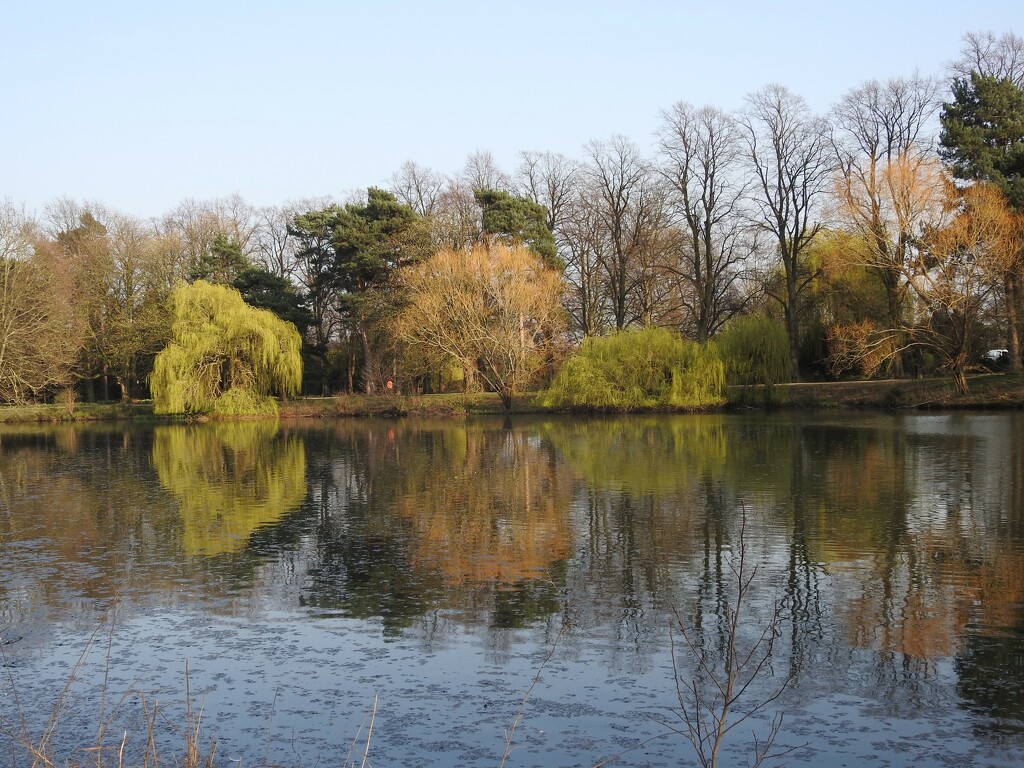 Reflections Highfield Park by oldjosh