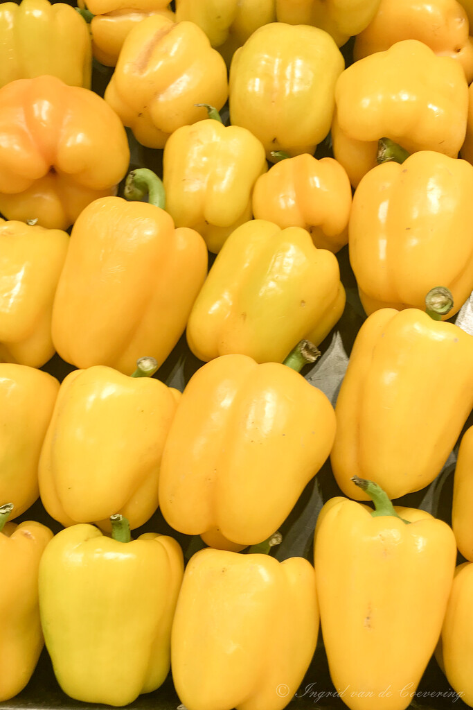 Yellow bell peppers by ingrid01