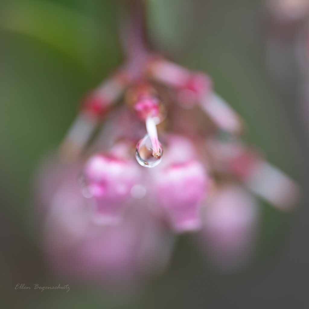Soft water drop  by theredcamera