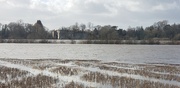21st Feb 2022 - Flooded Palace