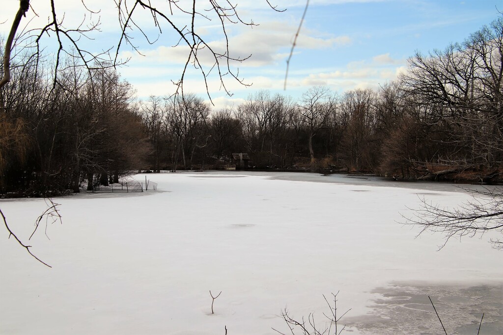 Icy Pond  by randy23