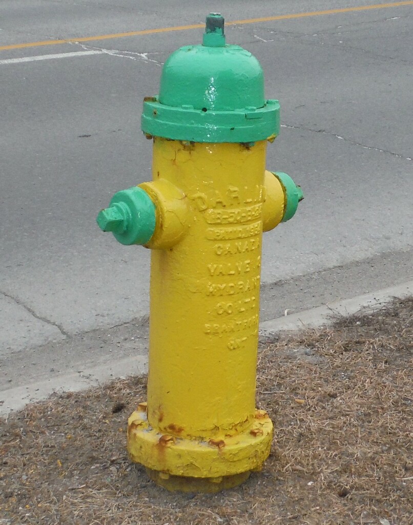 Yellow Fire Hydrant by spanishliz