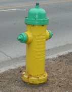 30th Mar 2022 - Yellow Fire Hydrant