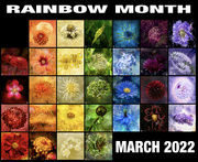 31st Mar 2022 - Rainbow Calendar 2022