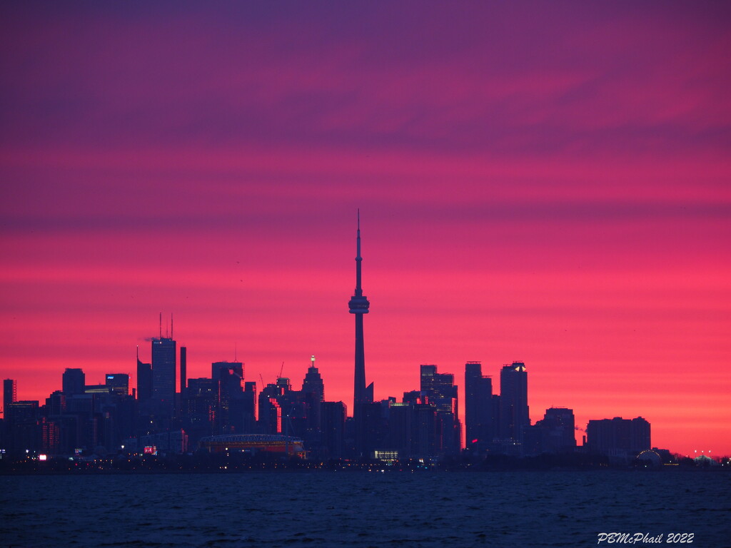 Toronto Skyline  by selkie