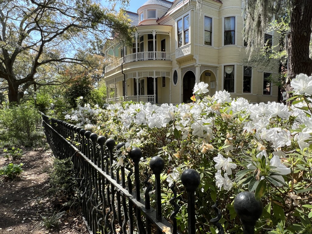 Azaleas and Queen Anne architecture, Historic Charleston by congaree