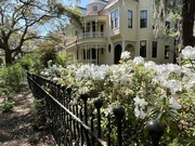 30th Mar 2022 - Azaleas and Queen Anne architecture, Historic Charleston