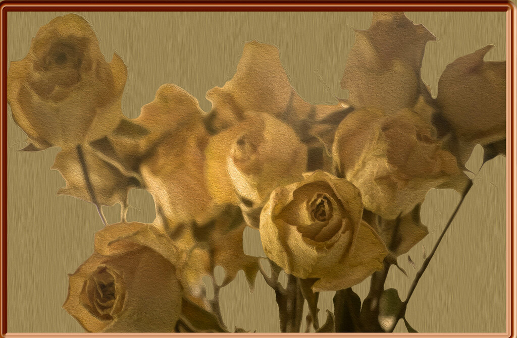 yellow roses by randystreat