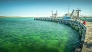 31st Mar 2022 - Rainbow Green; The ubiquitous jetty, South Australia
