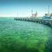 Rainbow Green; The ubiquitous jetty, South Australia by pusspup