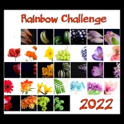 31st Mar 2022 - Rainbow Challenge 2022