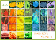 31st Mar 2022 - Rainbow Month