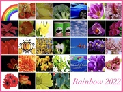 31st Mar 2022 - Rainbow Calendar 2022