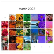 31st Mar 2022 - 2022 Rainbow Calendar