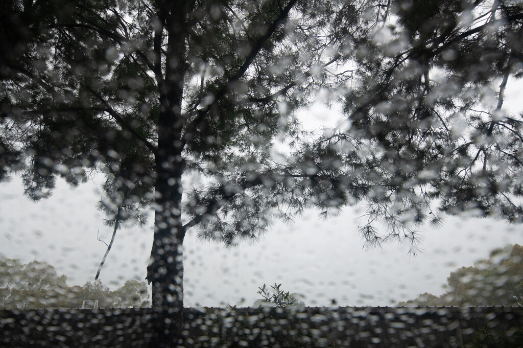 raining day from the window by mumuzi