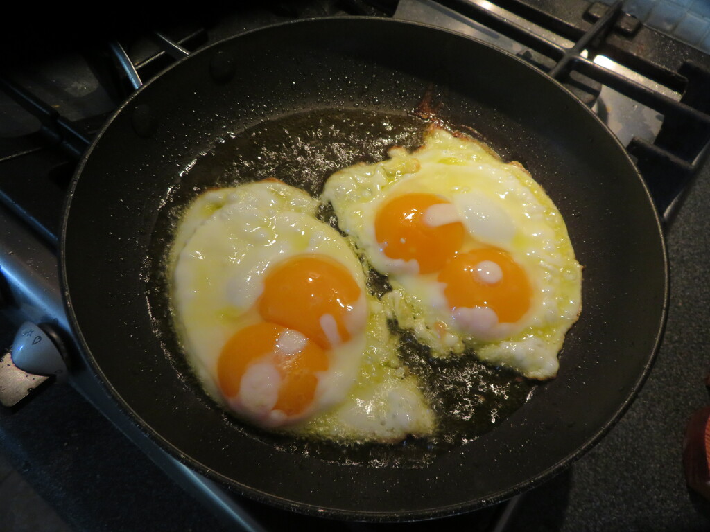 Double Yolkers by lellie