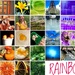 Rainbow 2022 by rensala