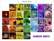31st Mar 2022 - My Rainbow Month