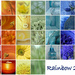 Rainbow 2022 - The Pot of Gold by genealogygenie