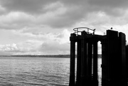 31st Mar 2022 - Puget Sound Ferry Ride