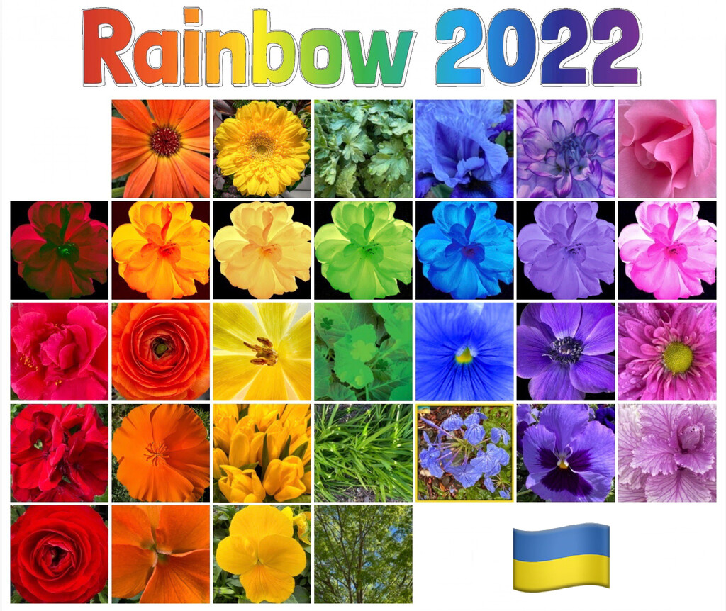 March 2022 Rainbow by shutterbug49