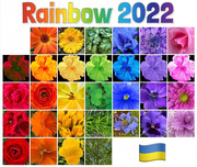 1st Apr 2022 - March 2022 Rainbow