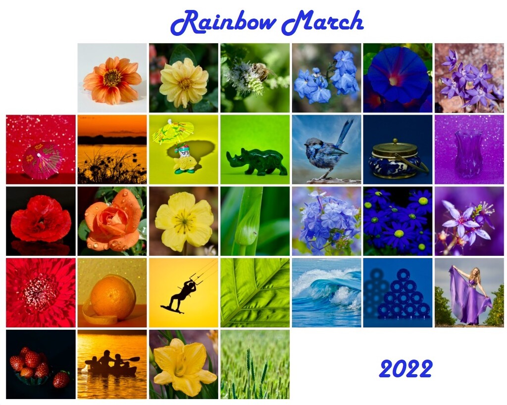 Rainbow 2022 by merrelyn
